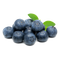 Blueberries PNG HD Image