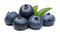 Blueberries PNG High Quality Image