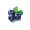 Blueberries PNG Image File