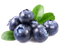 Blueberries PNG Image HD