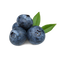 Blueberries PNG Images