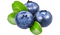 Blueberries PNG Pic