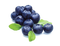 Blueberries Transparent