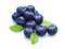 Blueberry Fruit PNG Image