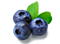 Blueberry Fruit PNG