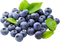 Blueberry Fruit Transparent