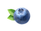 Blueberry PNG Clipart