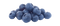 Blueberry PNG Download Image