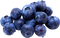 Blueberry PNG Free Download