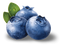 Blueberry PNG HD Image