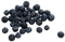 Blueberry PNG High Quality Image