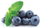 Blueberry PNG Image File