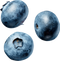 Blueberry PNG Photo