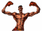 Bodybuilding PNG File