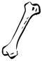 Bone Free PNG Image