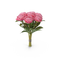 Bouquet PNG Picture