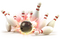 Bowling PNG File