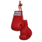 Boxing Gloves Download PNG