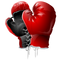 Boxing Gloves PNG Clipart