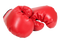 Boxing Gloves PNG File