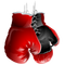 Boxing Gloves PNG Image