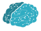 Brain Learning PNG