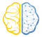 Brain Learning Transparent