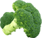 Broccoli Free PNG Image