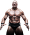 Brock Lesnar PNG Picture