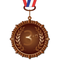 Bronze Medal PNG File