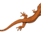 Brown Lizard PNG Free Image