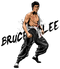 Bruce Lee High-Quality PNG