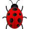 Bug PNG 2