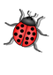 Bug PNG 6