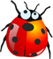 Bug PNG 8