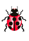 Bug PNG 9