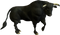 Bull PNG