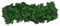 Bushes PNG Pic