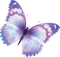 Butterfly PNG 3