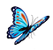 Butterfly PNG