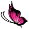 Butterfly Tattoo Designs PNG