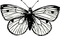 Butterfly Tattoo PNG