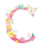 C Letter PNG Pic