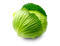 Cabbage PNG Clipart