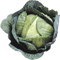 Cabbage PNG Image