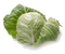 Cabbage PNG