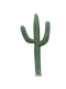 Cactus PNG 4