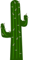 Cactus PNG