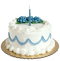 Cake Transparent