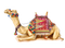 Camel PNG 2